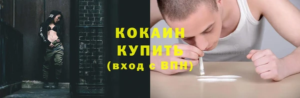 СК Алексин