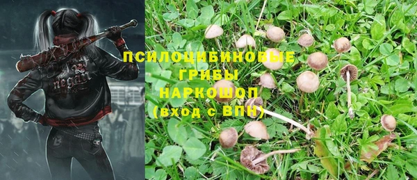 кокс Абаза