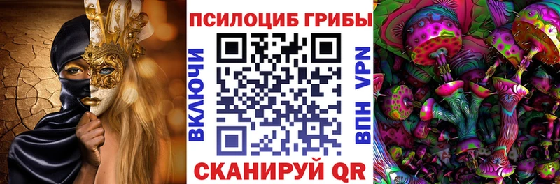 ОМГ ОМГ ссылки  мориарти как зайти  Галлюциногенные грибы Psilocybine cubensis  Яхрома 